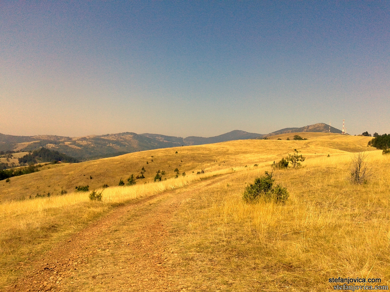 Zlatibor